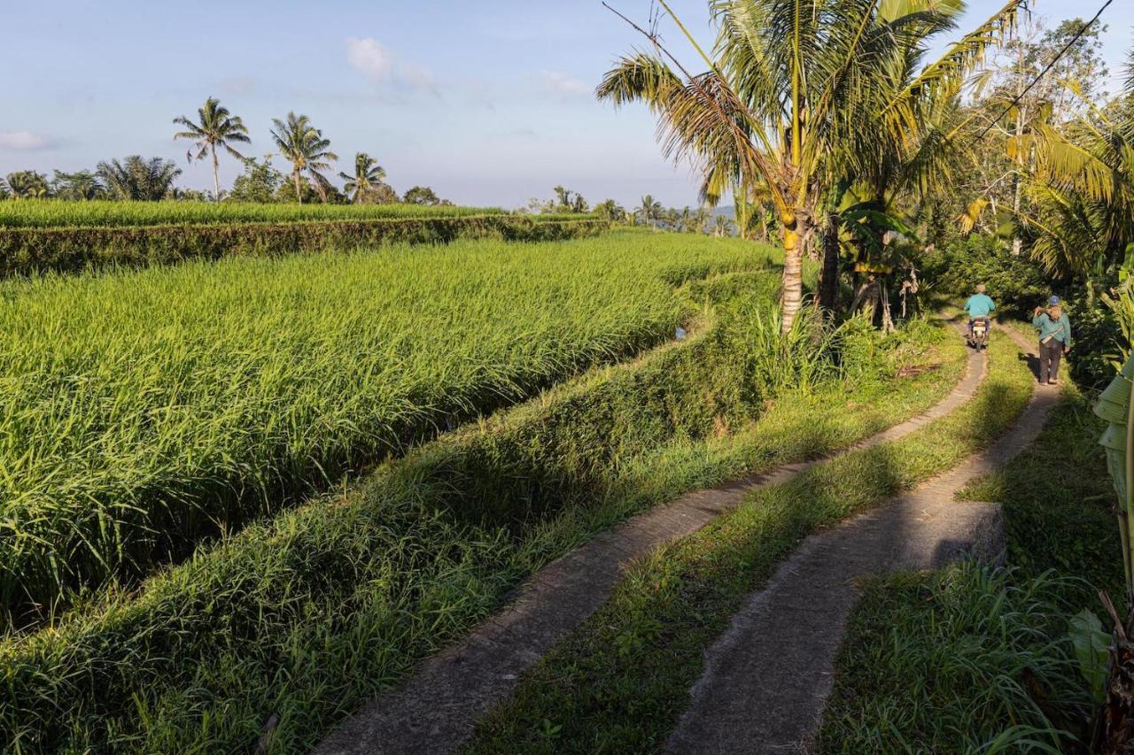Sanda Plantation Hideaway Luaran gambar