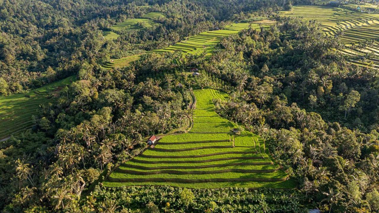 Sanda Plantation Hideaway Luaran gambar