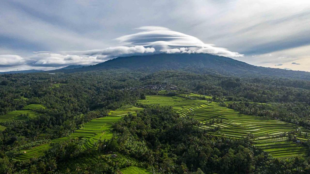 Sanda Plantation Hideaway Luaran gambar